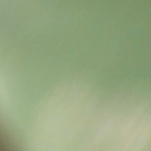 Meet your Posher, Isabel